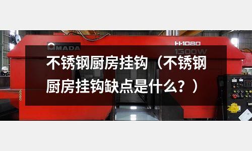 不锈钢厨房挂钩(不锈钢厨房挂钩缺点是什么?)