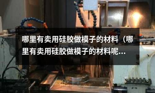 哪里有卖用硅胶做模子的材料(哪里有卖用硅胶做模子的材料呢)