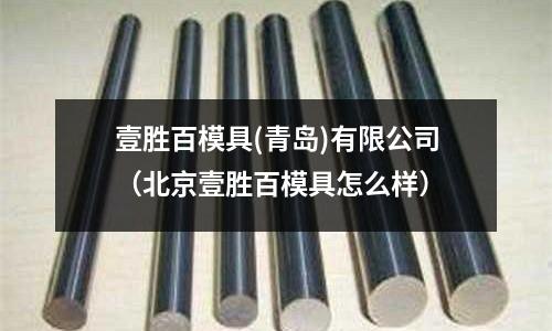 壹胜百模具(青岛)有限公司(北京壹胜百模具怎么样)