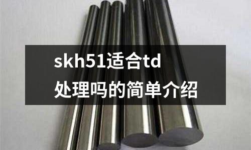 skh51适合td处理吗的简单介绍