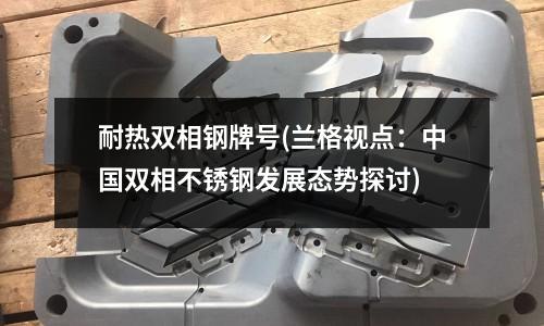 耐热双相钢牌号(兰格视点:中国双相不锈钢发展态势探讨)
