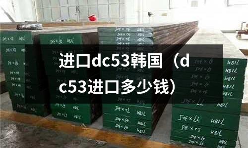 进口dc53韩国(dc53进口多少钱)