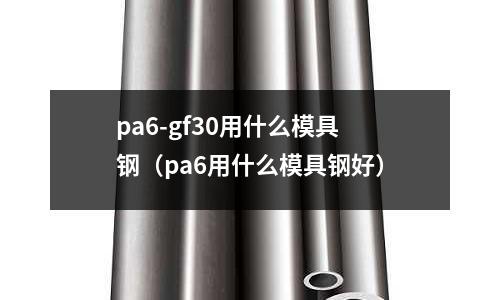 pa6-gf30用什么模具钢(pa6用什么模具钢好)