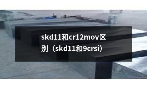 skd11和cr12mov区别(skd11和9crsi)