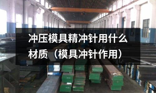 冲压模具精冲针用什么材质(模具冲针作用)
