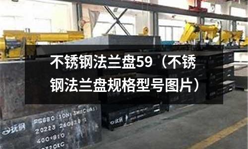 不锈钢法兰盘59(不锈钢法兰盘规格型号图片)