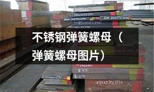 不锈钢弹簧螺母(弹簧螺母图片)